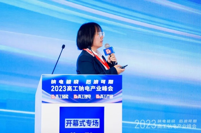 億緯鋰能趙瑞瑞：億緯鋰能聚焦聚陰離子正極材料，長循環、低成本、高安全型鈉離子電池