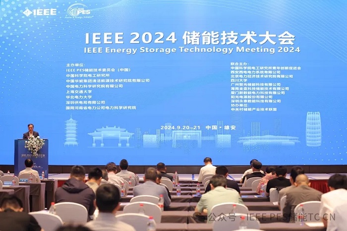 IEEE 2024 儲能技術大會在雄安成功召開