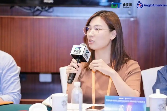 國潤儲能董事長兼首席技術專家孟青：儲能行業的機遇與挑戰