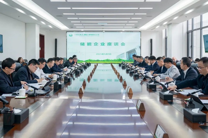 內蒙古電力集團攜手頭部企業共商儲能發展未來