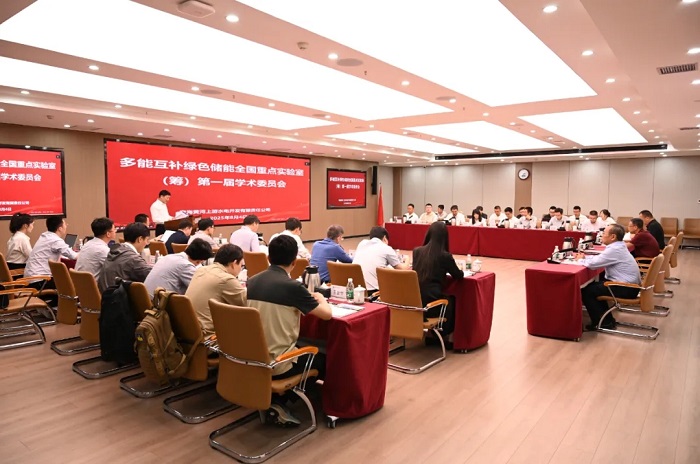院士領銜！多能互補綠色儲能“最強大腦”啟航